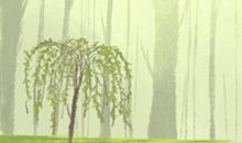 带三点水的男孩名字有哪些？