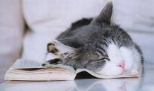 严严冬日，A血型该如何扛冻