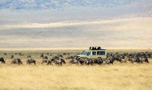 AB血型的人潜力大吗？