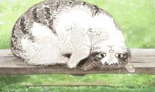 属马坏在哪里，你喜欢这一款？