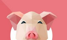 1995年出生的属猪人2020年运势