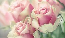 白羊座女生对待朋友的态度