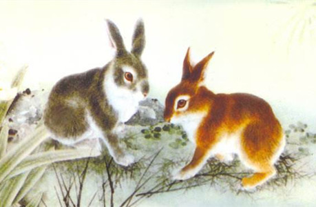 1987年兔子的命运与运势分析
