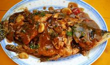 O型血人适合吃什么食物