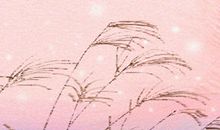 12星座女套牢男人的绝招