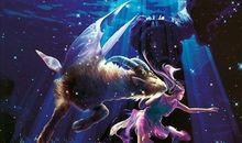 摩羯座谈情说爱的禁忌