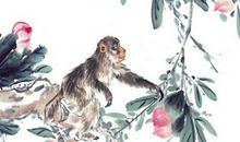 1992年属猴的人2020年运势大全及破解