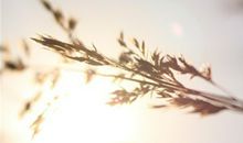 双子座一生中最害怕失去什么