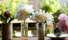 AB血型遇上烦心事的表现