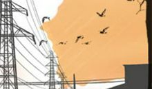 属猴生病后会有多少人生感悟