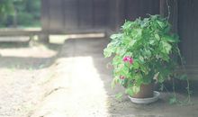 爱莎塔罗本周星座运势（9.4-9.10）