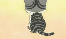 以12生肖为谜面的谜语