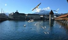 处女座最适合的城市