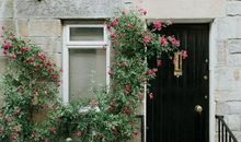 易鑫2019年11月2日生肖运势