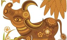 1973年属牛的人2020年运势大全及破解