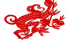 1980年属猴的人2020年运势大全及破解