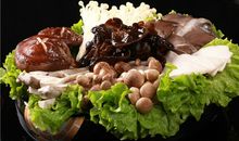 AB型血属羊的人最有前途吗？