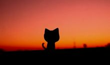 有哪些12生肖谜语诗