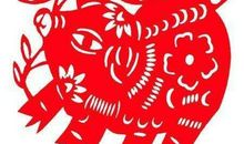 1971年属猪的人2019年运势及运程大全解析