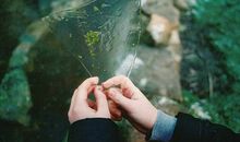 狂月每日运势2017年12月7日