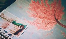 狂月每日运势2017年12月10日