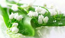 爱莎塔罗本周星座运势（1.8-1.14）