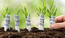 看起来呆萌，实则最能赚大钱的O血型人