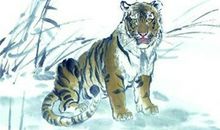 属虎人2019年运势 2019年属虎人的全年运程