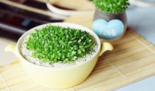 狂月每日运势2017年12月21日