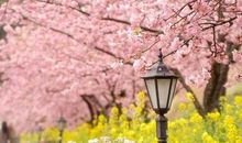 揭秘水瓶男离婚原因