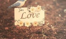 拥有爱情之后的O型血君