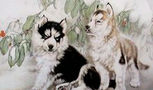 1994年属狗的人2020年运势大全及破解