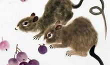 1984年属鼠的人2020年运势大全及破解