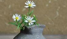 天秤座如何建立职场声望