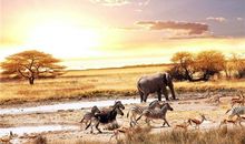 B血型君有什么怪癖