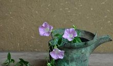 天蝎座如何建立职场声望