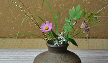 双子座如何建立职场声望