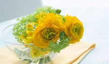 狂月:今日运势2018年5月2日