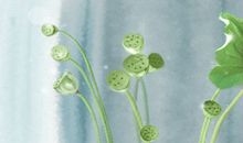 属马2016猴年运气不好怎么转运