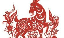 1979年属羊的人2020年运势大全及破解