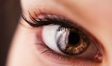 关于B型血君的眼睛