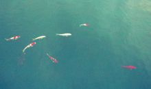 狂月每日运势2017年11月13日