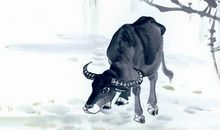 1985年属牛的人2020年运势大全及破解