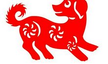 1970年属狗的人2019年运势及运程大全解析