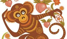 1968年属猴的人2020年运势大全及破解