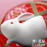 中国十二生肖兔幸运聚会