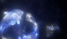 O型血双鱼座的性格特点