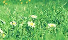 天蝎座女生对待朋友的态度