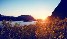 2007年属猪的是什么命