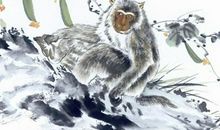 2004年属猴的人2020年运势大全及破解